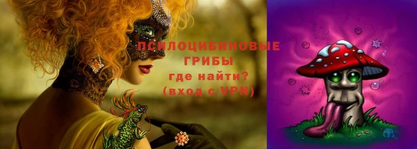 индика Покровск