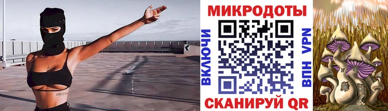 Купить где  Новосибирск  Галлюциногенные грибы прущие грибы 